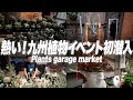 みんなで楽しめる最高の植物イベント行ってきた！[アガベ][ビカクシダ][塊根植物][多肉植物]
