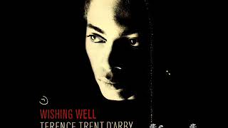 Terence Trent D'Arby - Wishing Well (Maxi Version) - YouTube