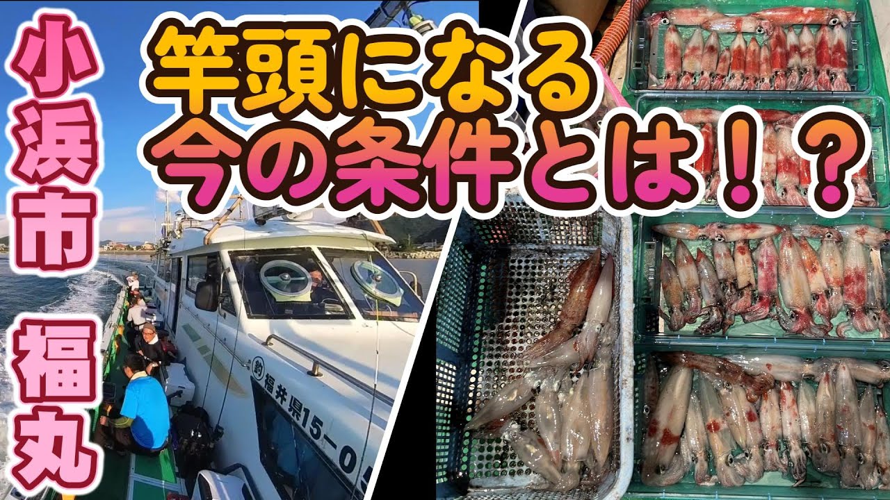 小浜沖爆釣（福丸）