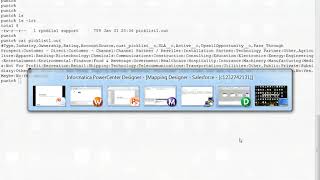 Overview on Salesforce PickList transformation