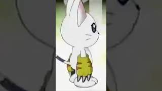 Must watch how Plotmon aka Salamon becomes Gatomon aka Tailmon #closeup #memes #meow #wow #roar