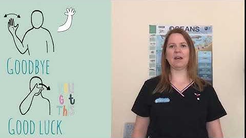 Tiny Toes Hertford Makaton sign of the week - Goodbye and good luck
