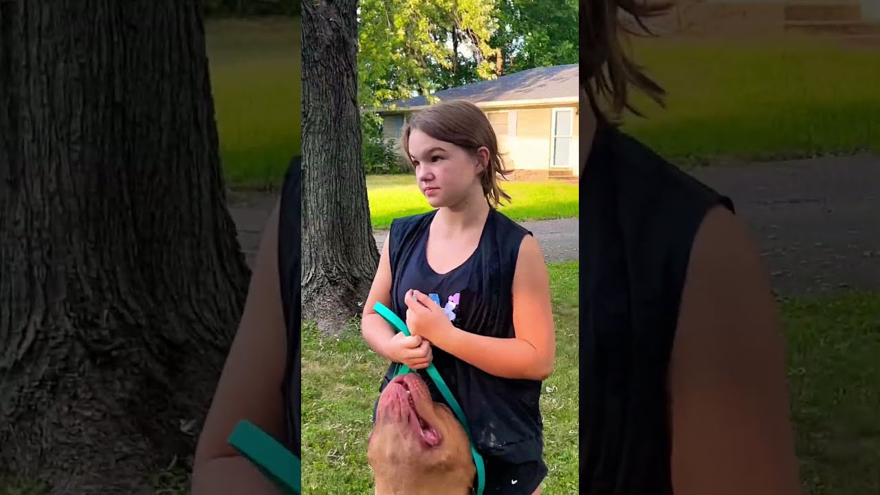 This Breed Is BANnED Dogbreed Pitbull Short
