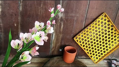 ABC TV | How To Make Gladiolus Paper Flower - Craft Tutorial