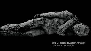 Who Can It Be Now (Men At Work) - 2018 alternative cover by B.I.C. feat. VamVam