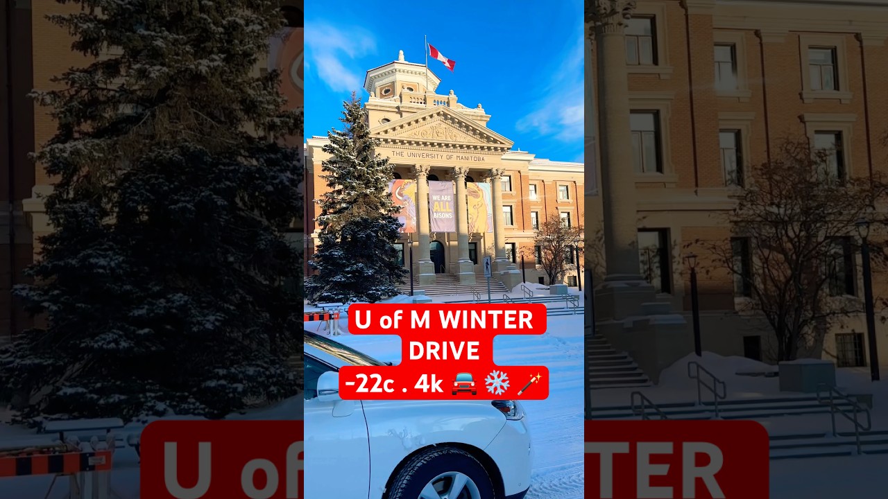 How students actually survive this much snow 