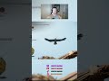 I Need to Work on my Leap of Faith!! #gaming #twitch #farcry #farcryprimal #letsplay #tiktok