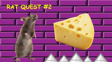 Trying to beat the game | Rat Quest (#2)