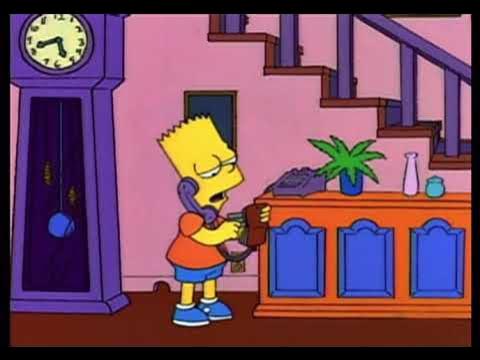 Bart Spende 350$ Dalla Carta Di Credito Di Homer - I Simpson 5x21