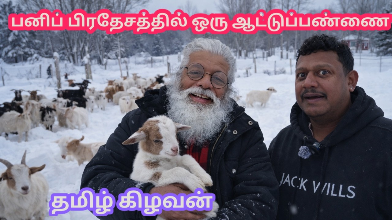🇨🇦கனடா பனியில் ஆடு வளர்ப்பு!🐐 Snow-ல Goat Farm வாழ்க்கை|Jaffna Tamil Kilavan #tamil