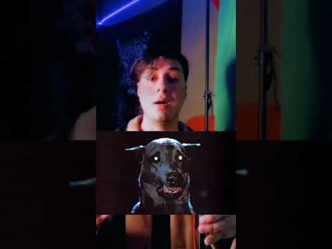 El PERRO que rezaba por las noches en la película de ENCANTO #encanto #disney hqdefault