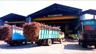 Sering Pemadaman, Pabrik Gula Merugi