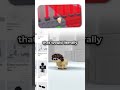 BREAKING Into Bases using the GLITCHED Mini Cat Avatar in Steal a Brainrot #roblox #stealabrainrot