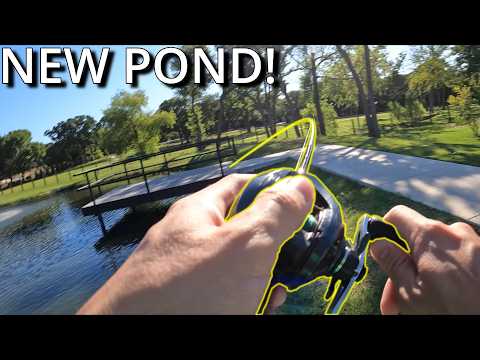 Amazing Suburban Bass Fishing!!! (NEW Community Pond)