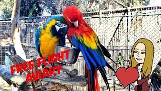 flight bird sanctuary