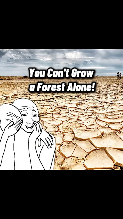 One Man Planted a Whole Forest! 🌳🙌…#shorts