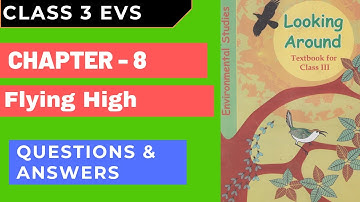 Class 3 EVS | Ch-8 Flying High | Answers | Looking around