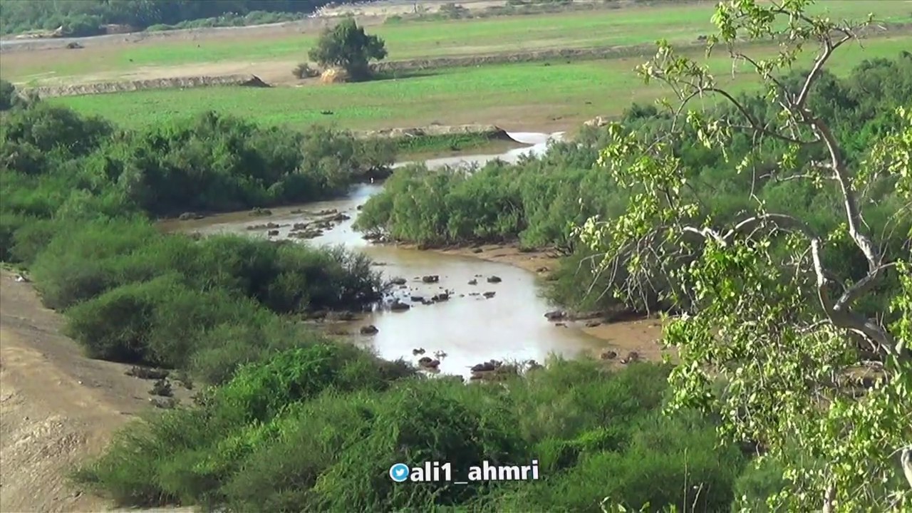 أجمل المناظر من وادي حلي ١٤٤١