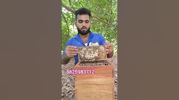 🐝10தேனீ பெட்டிகளுக்கு மேல் வாங்கினால் தேன் எடுக்கும்இயந்திரம் மற்றும் புகைப்பான் இலவசம்#தேனீவளர்ப்பு