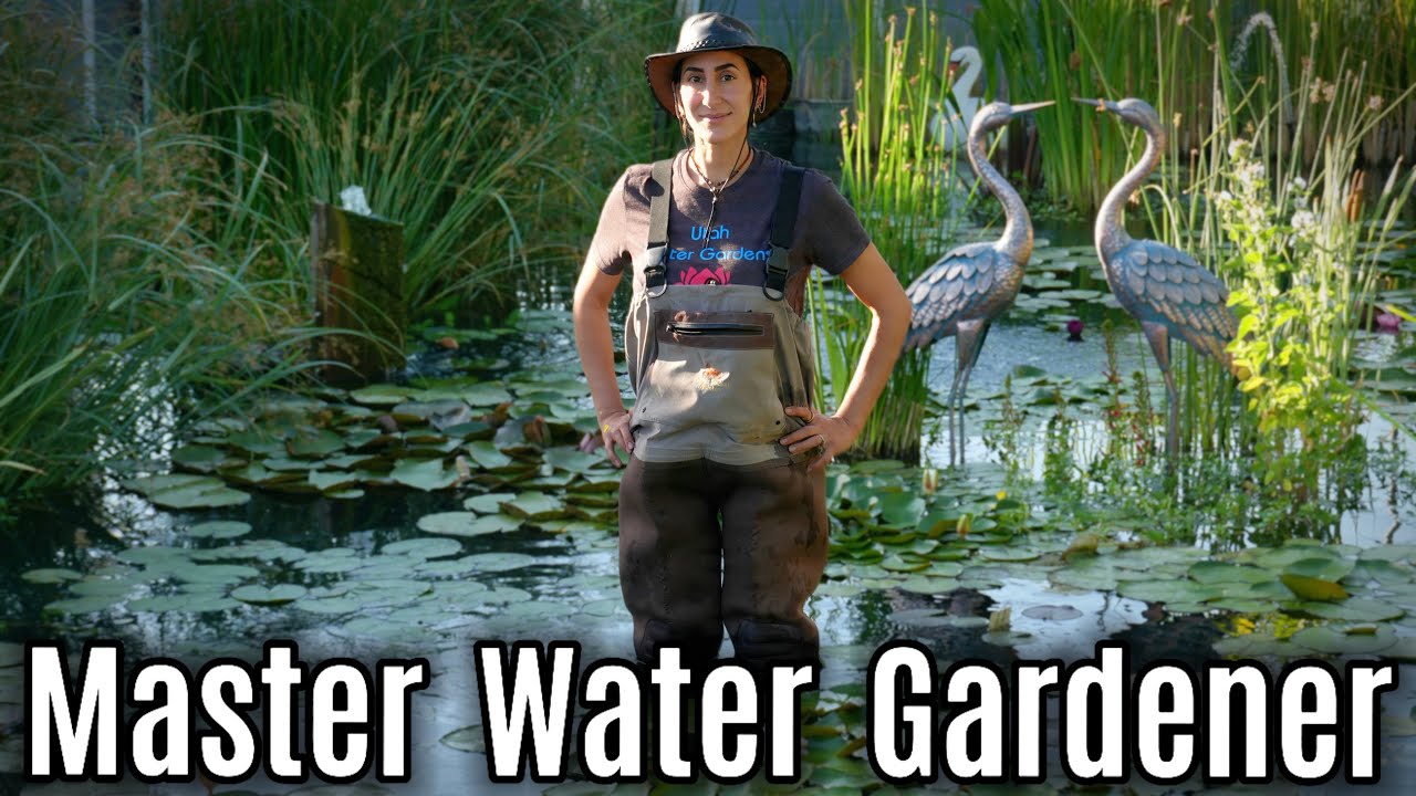 This Aquatic Botanist Has Seen Every Pond Mistake — Here's What She Tells Every Single Customer