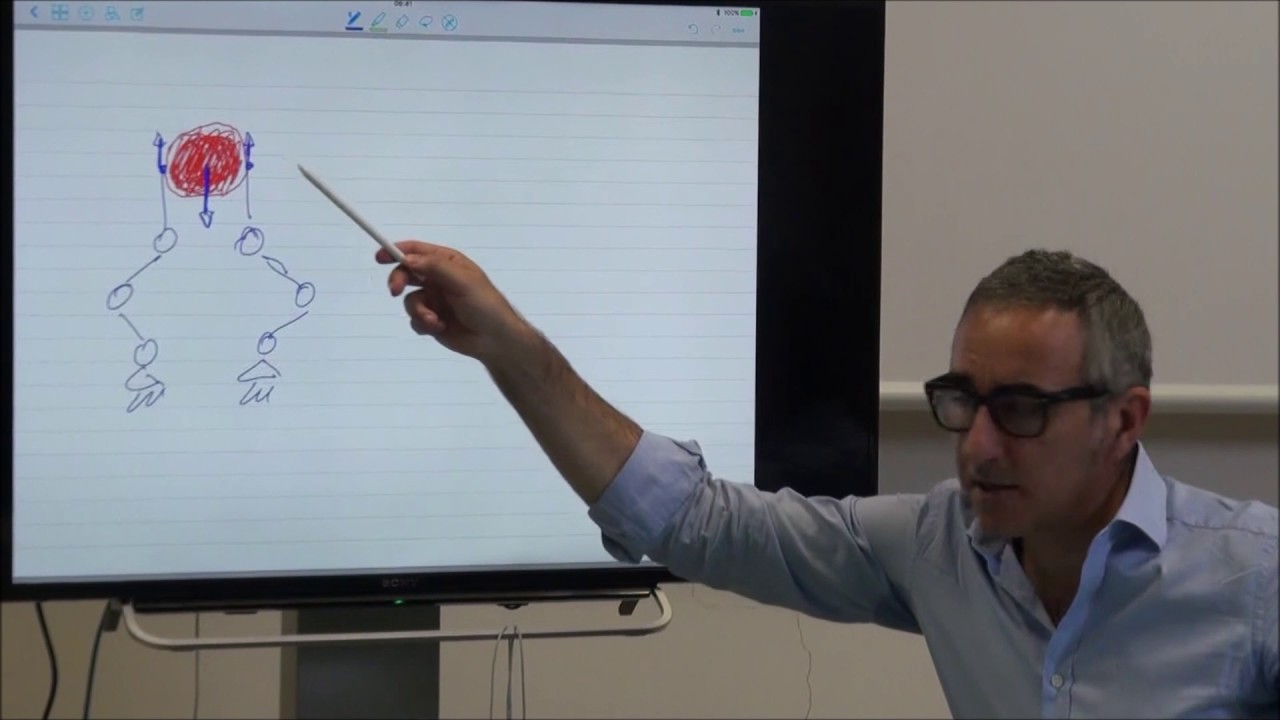 Lecture 1.3: The friction cone