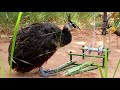 Amazing! Creative Technology Unique Make From Bike Crank,Hammer Hand And Cuter.