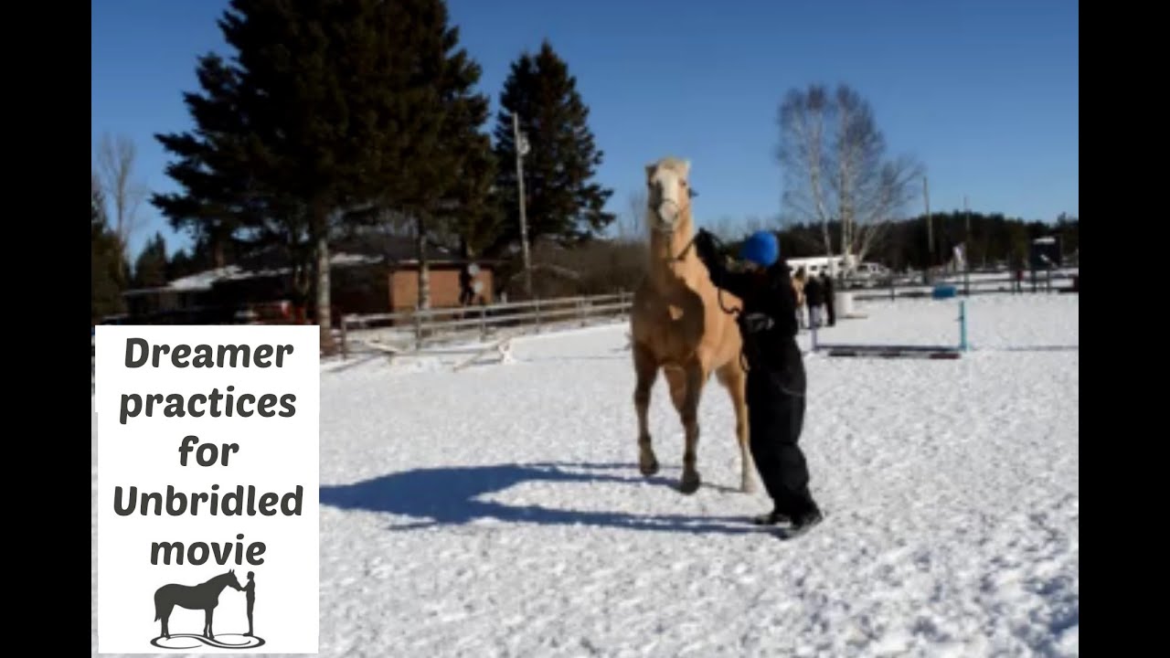 Dreamer's 2nd practice for the Movie Unbridled
