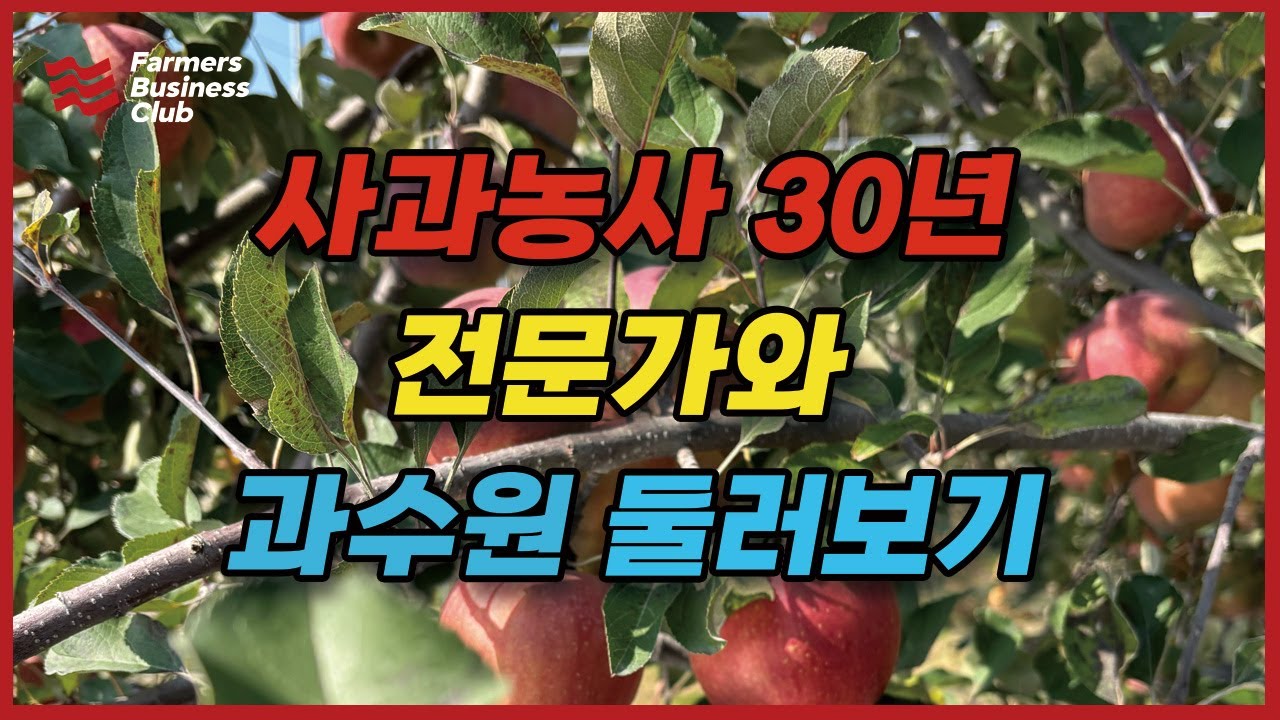 사과농사만 30년. 사과 전문가와 과수원 둘러보기