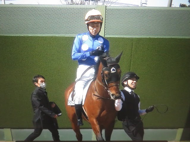 3歳1勝クラス 本馬場入り前 数頭のみ撮影 森一誠厩舎の初陣 タイセイ