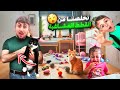القطط المشاغبة دمروا البيت ليش خالد وعسل صاروا يبكوا Forensic Science