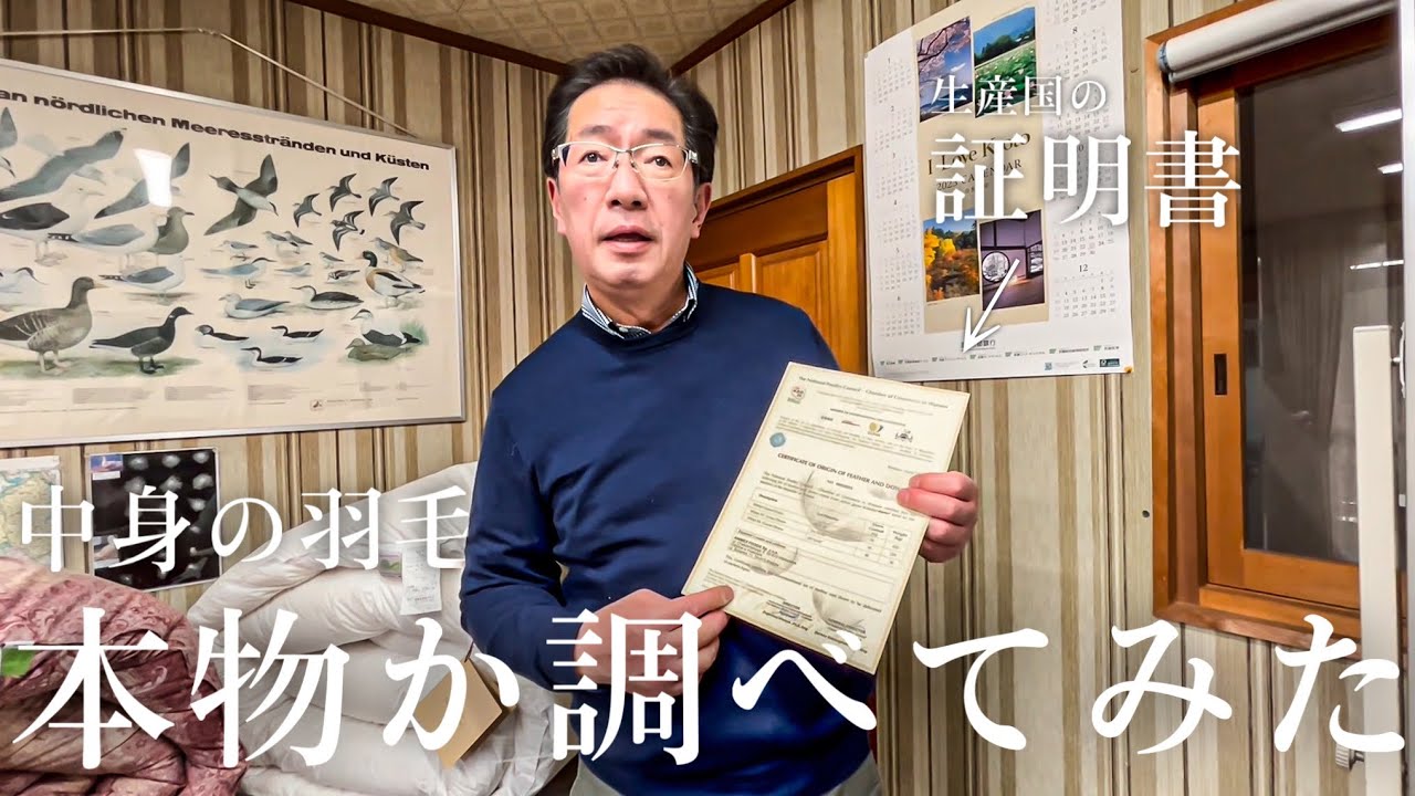 【検証】中身の羽毛は嘘か？本当か？羽毛の専門家が本気の検証...！