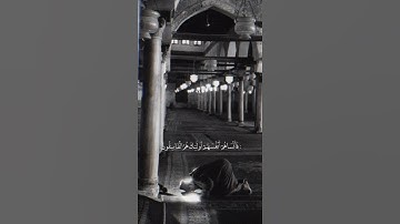 {القرآن الكريم }      #عبدالاله_تركي #الاول #السعودية #يوتيوب #tiktok #youtube #قرآن #القرآن_الكريم