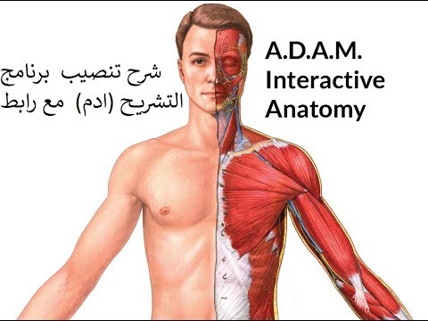شرح تنصيب برنامج التشريح A.D.A.M Anatomy