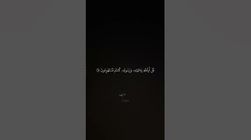 القارئ : الشيخ ماهر المعيقلي ، سورة : التوبة (٦٥).