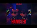 KR_KEYS_-_HAMSTER