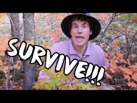 WILDERNESS SURVIVAL!!! | Dan vs. Wild