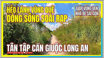 HẺO LÁNH VÙNG QUÊ bên DÒNG SÔNG SOÀI RẠP | TÂN TẬP CẦN GIUỘC LONG AN | Vùng Ven Giáp Nhà Bè Sài Gòn