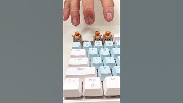 Capybara keycaps sound test #mechanicalkeyboard #soundtest #keycap #pcsetup #capybara #art #pcgamer