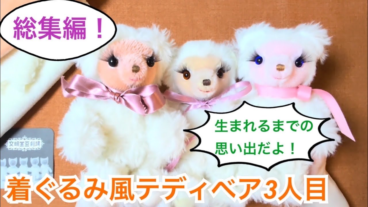 Birth] The Third Teddy Bear in a Costume - YouTube