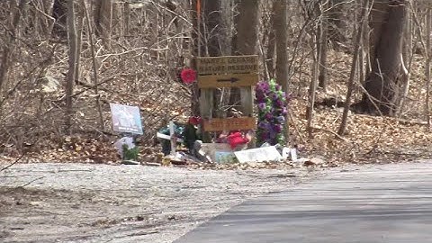 Delphi, IN Monon High Bridge Video