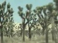 Joshua Tree National Park, California