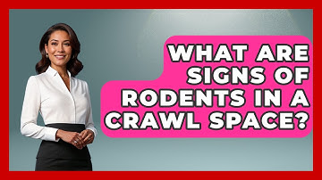 What Are Signs Of Rodents In A Crawl Space? - Insects and Invaders