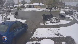 Security video shows car crash into Springfield Township home