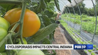 Cyclosporiasis outbreak in Indiana continues