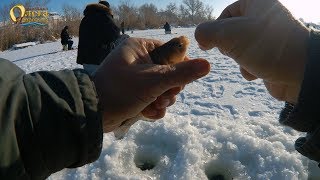 видео: Ловля карася со льда. Карась рубает как немой. картинка: Ловля карася со льда. Карась рубает как немой.