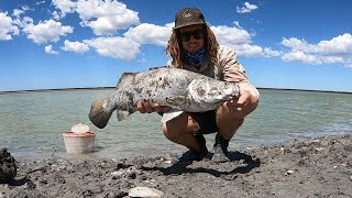 BARRAMUNDI FISHING | LAND BASED | rigs, knots, setup and equipment used