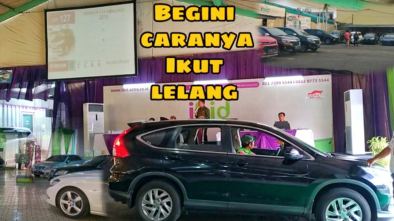 cara ikut lelang  mobil  murah  LELANG  IBID JAKARTA 