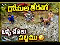 🐟 దోమల తేరతో చిన్న చేపలు పట్టాము! 😲|🐟 Catching Small Fish with a Mosquito Net! 😲