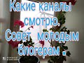 Какие каналы смотрю   /// Совет молодым блогерам  ///