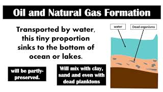 Fossil Fuel Formation  | Lesson 6 | Earth Science